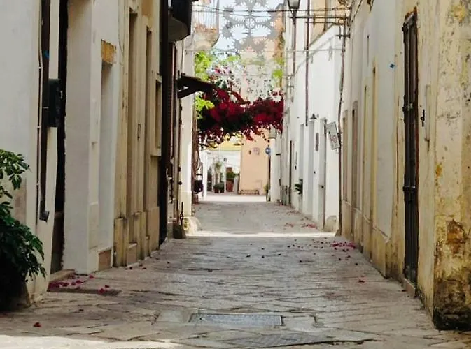 아파트 Sofia -centro Storico 레베라노